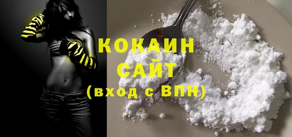 молекула духа Нягань