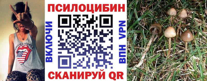 Псилоцибиновые грибы Psilocybe  Рыльск 